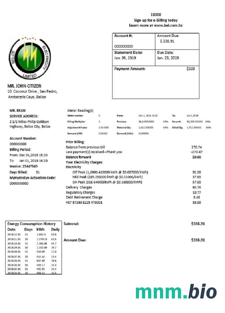 Belize Electricity Limited szablon rachunku za energię elektryczną w formacie Word i PDF
